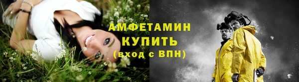 гашик Михайловск