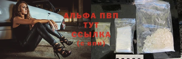 гашик Михайловск