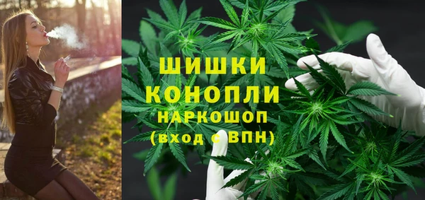гашик Михайловск