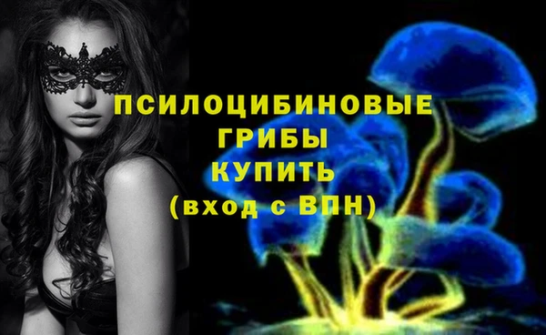 Альфа ПВП Михайлов