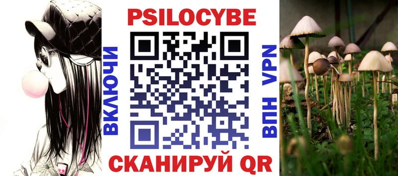 Псилоцибиновые грибы Cubensis  blacksprut   Скопин 