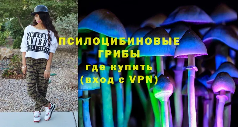 Галлюциногенные грибы MAGIC MUSHROOMS  где можно купить наркотик  Скопин 