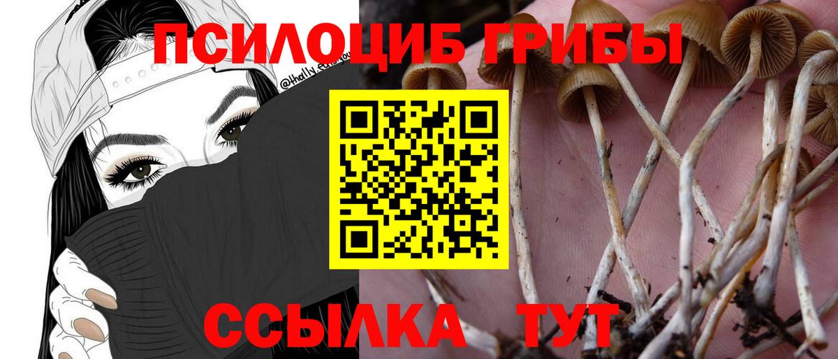 Псилоцибиновые грибы Psilocybine cubensis  Галлюциногенные грибы Psilocybine cubensis  Скопин  Вход с VPN 